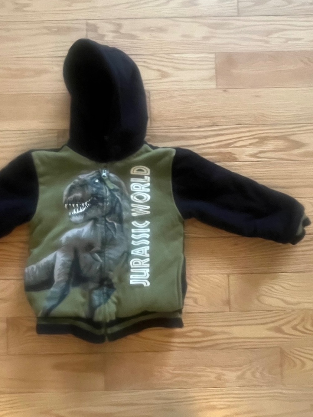 Jurassic World Boys Sherpa Lined Hoodie Size 5 Dinosaur
